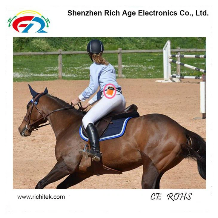 Tgħallim taRiding Żwiemel BSistema taTrasmissjoni tal-ħoss mingħajr fili(图1)